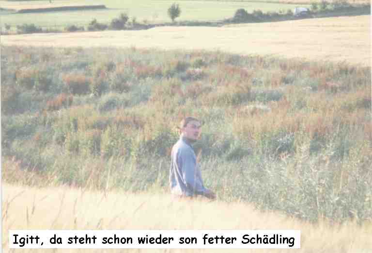 Der gewisse Unterschied