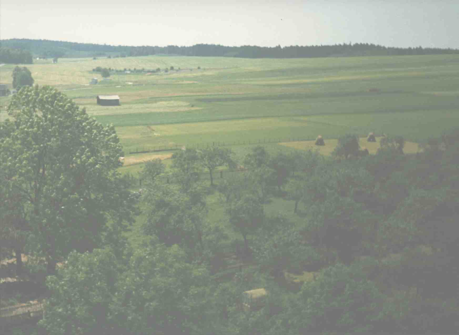 Ein Blick in Richtung M�hltroff